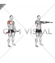 Stick Standing Front Raise (male)