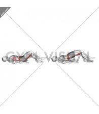 Single Leg Hamstring Bridge (male)