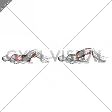 Single Leg Hamstring Bridge (male)