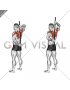 Stick Assisted Standing Shoulder Internal Rotation (male)