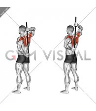Stick Assisted Standing Shoulder Internal Rotation (male)