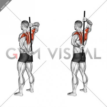 Stick Assisted Standing Shoulder Internal Rotation (male)