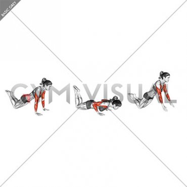 Kneeling Plyo Push-up (female)