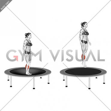 Elastic Bed Toe Jump (female)