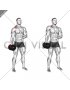 Dumbbell Single Arm Shrug (male)