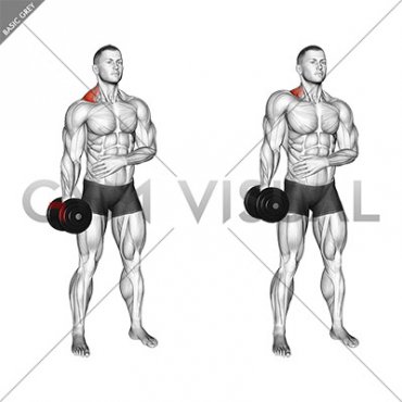 Dumbbell Single Arm Shrug (male)