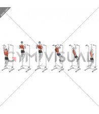 Eccentric Single Arm Pull-up (male)