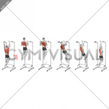 Eccentric Single Arm Pull-up (male)