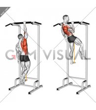 Resistance Band Assisted Single Arm Pull-up (VERSION 2) (male)