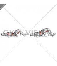 Hamstring Bridge (VERSION 2) (male)