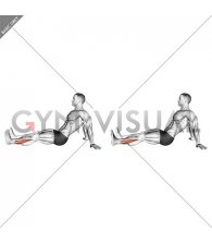 Seated Single Leg Foot Side to Side (male)