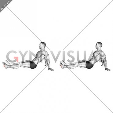 Seated Single Leg Squeezing Toes (male)