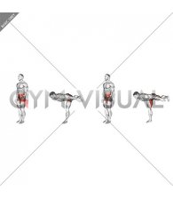 Bodyweight Single Leg Deadlift Hold
