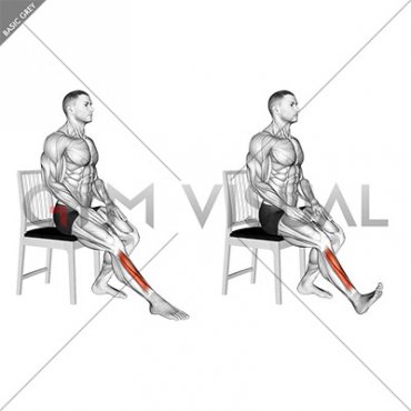 Seated Single Leg Tibialis Press (male)