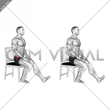 Seated Single Leg Squeezing Toes (male)