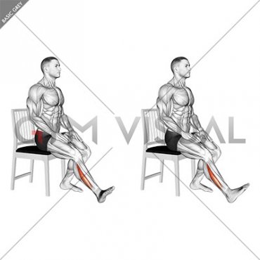 Seated Single Leg Foot Side to Side (male)