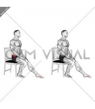 Seated Single Leg Toes Press (male)