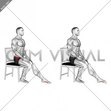Seated Single Leg Toes Press (male)