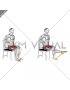 Resistance Band Seated Single Leg Knee Extension Hold (male)