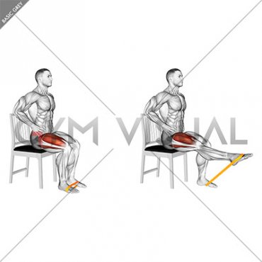 Resistance Band Seated Single Leg Knee Extension Hold (male)