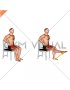 Resistance Band Seated Single Leg Knee Extension Hold (male)