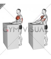 Standing Forward Slide Press with Towel (male)
