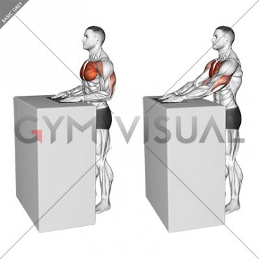 Standing Forward Slide Press with Towel (male)