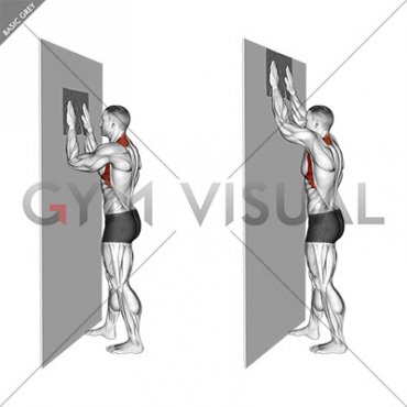 Standing Wall Serratus Slide with Towel