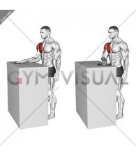 Standing Internal Rotation Slide with Towel (male)