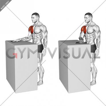 Standing Internal Rotation Slide with Towel (male)