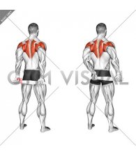 Standing External Rotation Behind Back with Towel (male)