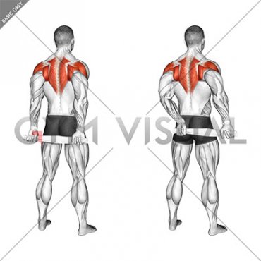 Standing External Rotation Behind Back with Towel (male)