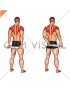 Standing External Rotation Behind Back with Towel (male)