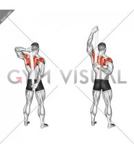 Shoulder Stretch Behind the Back with Towel