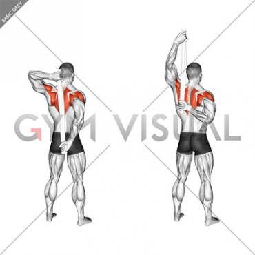 Shoulder Stretch Behind the Back with Towel