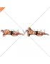 Side Lying External Rotation (male)