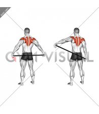 Stick Shoulder Mobilization in Abduction Behind Back (male)