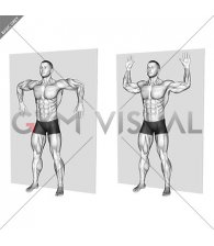 Standing Wall Shoulder Rotation (male)