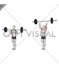 Barbell Standing Military Press (close stance)