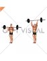 Barbell Standing Military Press (close stance)
