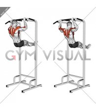 Scapular Pull-up Swing (male)