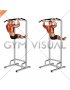 Scapular Pull-up Swing (male)