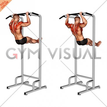 Scapular Pull-up Swing (male)