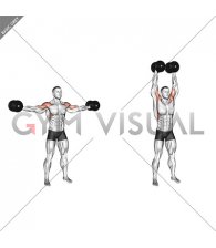 Dumbbell Straight Arm Bicep Swing (male)