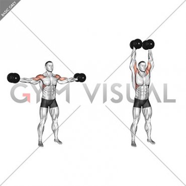 Dumbbell Straight Arm Bicep Swing (male)