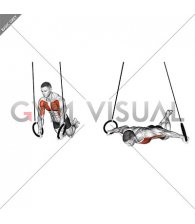 Ring Long Arms Push-up Hold (male)