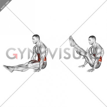 L Sit Leg Raise (male)