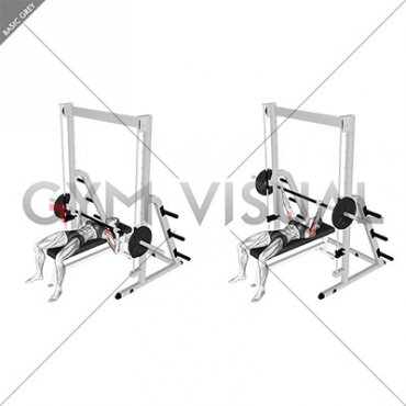 Smith Bench Press (female)