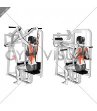 Lever Front Pulldown (female)