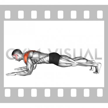 Forearms Plank with Shoulder Protraction (male)